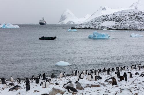 Antartica